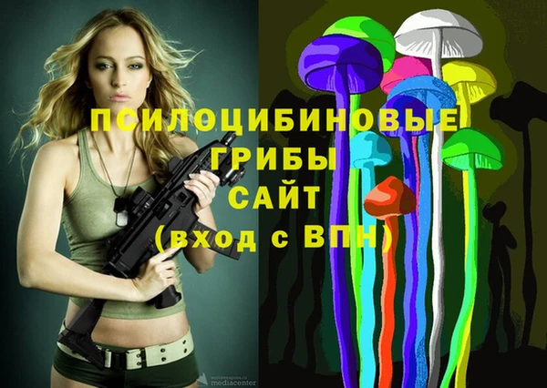 МДПВ Горнозаводск