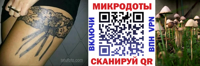 Галлюциногенные грибы ЛСД  hydra как войти  Новочеркасск 